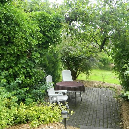 Large Detached Holiday Home In Hesse With Private Garden And Terrace Homberg  Ngoại thất bức ảnh